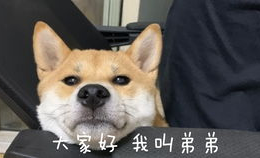 小狗眼小姐姐,萌态可掬的治愈系女神