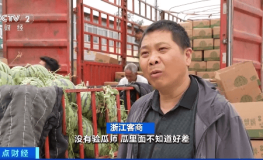 西瓜观察眼一瞅手一拍！这个职业月入过万